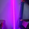 5150 Hyper Color Whips (WHIPS ONLY) - Image 6