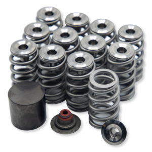 WSRD Ultimate Solid Bucket Valve Spring Kit | Can-Am X3 & Ski-Doo 900ACE