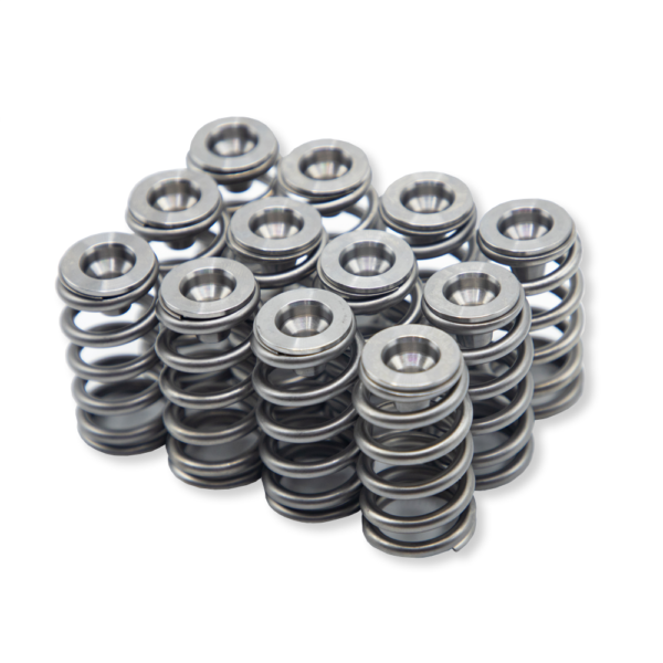 WSRD Terminator Valve Spring Kit | Can-Am X3 & Ski-Doo 900ACE